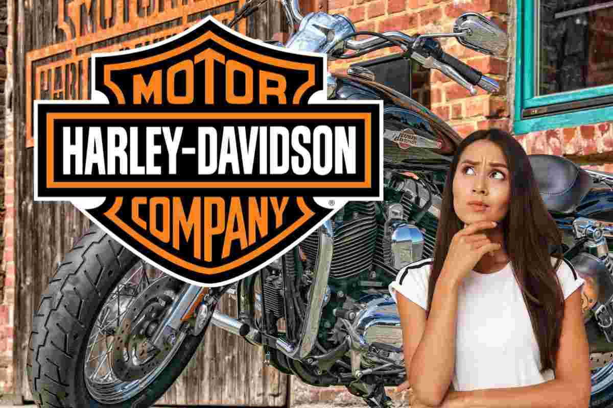 Harley Davidson come non le avete mai viste