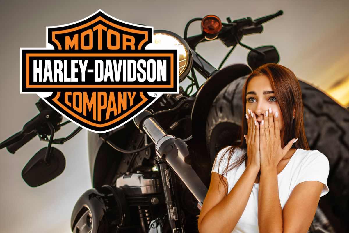 Harley Davidson che tracollo