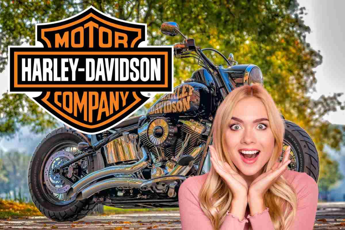 Harley Davidson