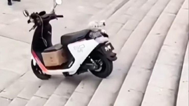 Xiaomi scooter