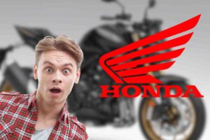 honda hornet