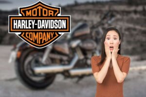 Harley Davidson, che smacco ai puristi!