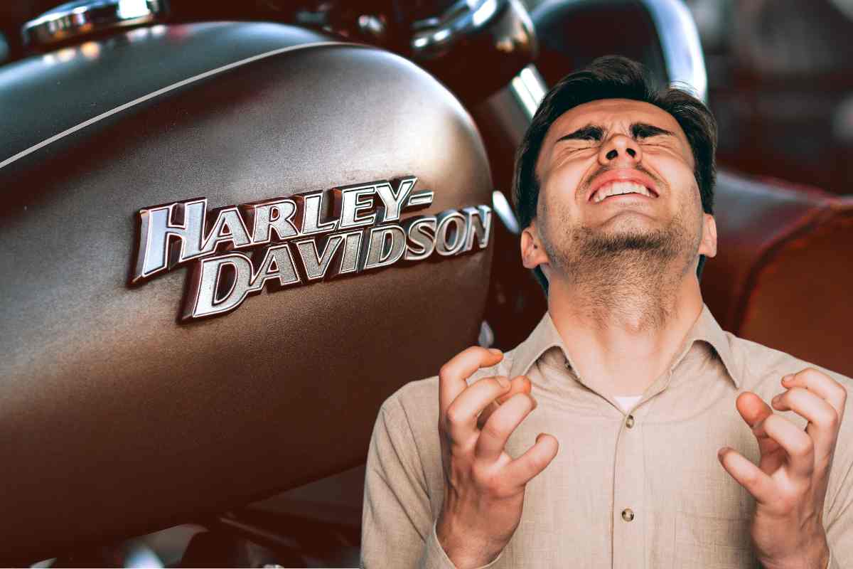 harley davidson