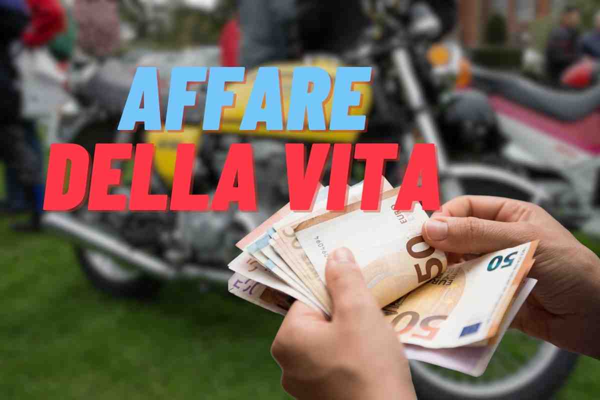 Affare della vita