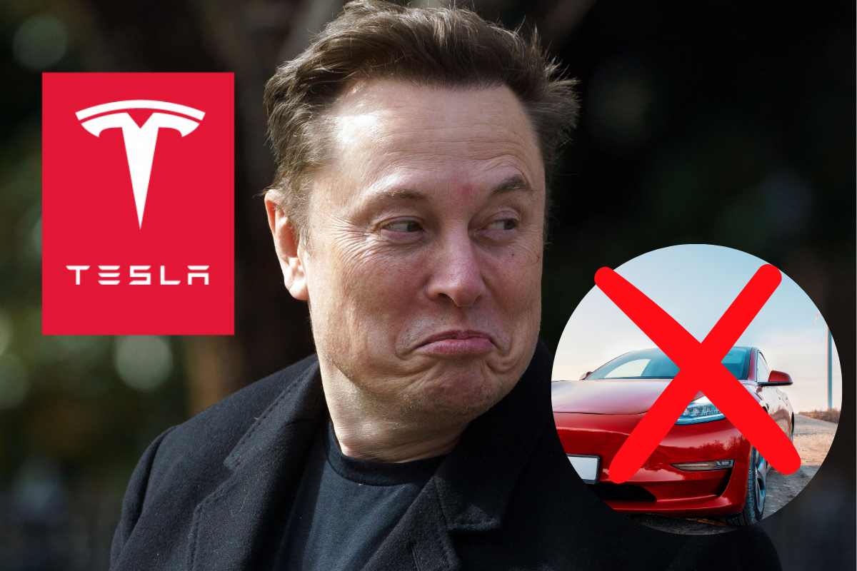 musk tesla due ruote 